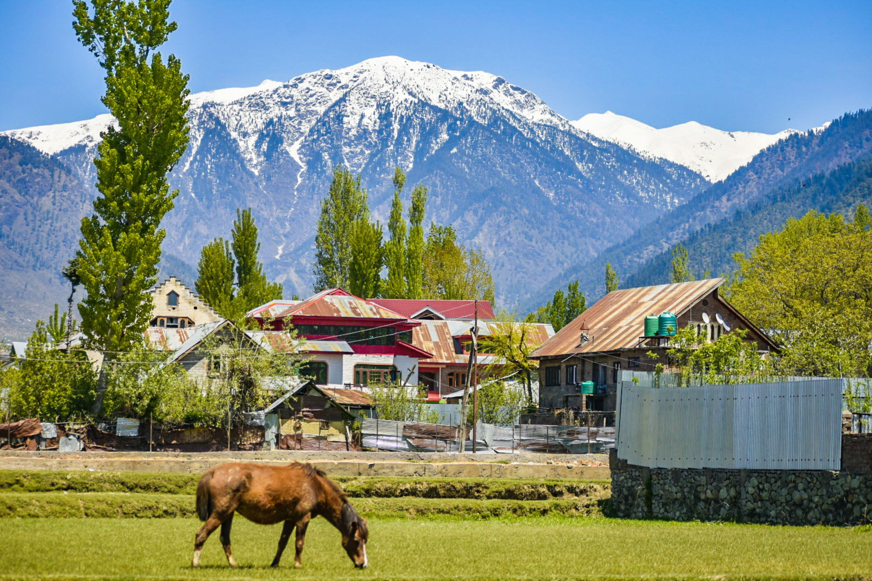 Kashmir Special Package — Ahmedabad